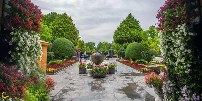 باغ گل‌های کرمانشاه؛ طبیعت و عکاسی